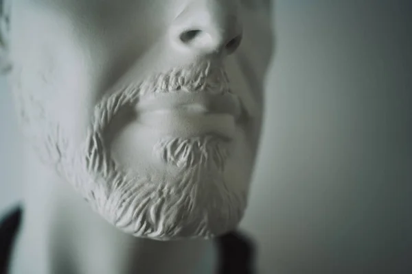 Sakallı ve bıyıklı manken yüzü.. 