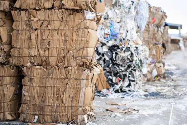 Stack of paper waste beforeshreding at recycling. Production for recycling cardboard paper and waste