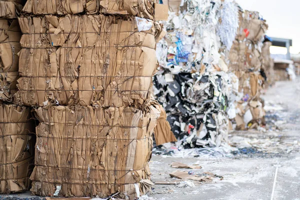 Geri dönüşüme gitmeden önce kağıt atığı yığını. Karton kağıt ve atıkların geri dönüşümü için üretim