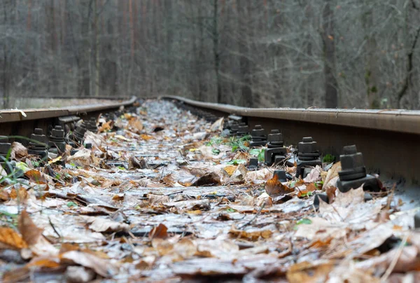 Sonbaharda Yaprakları Yakın Demiryolu Görünümü — Stok fotoğraf