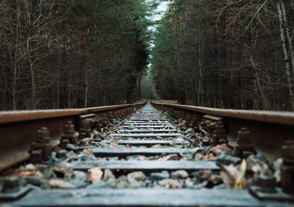 Foto Van Een Oude Houten Verlaten Spoorweg Bezaaid Met Oranje Stockfoto