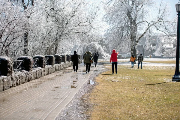 Eine Gruppe Von Menschen Genießt Den Park Neben Den Niagarafällen — Stockfoto