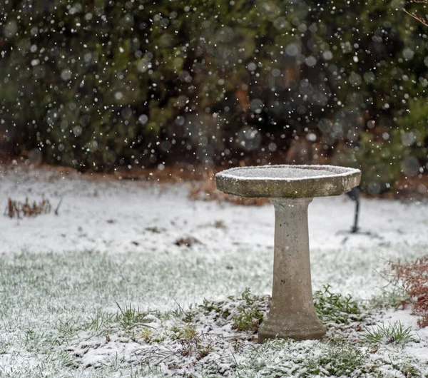 Verschwommener Schnee Fällt Auf Gefrorenen Betonvogel Garten — Stockfoto