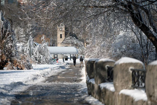 Der Zugefrorene Weg Entlang Des Niagara Flusses Mit Einem Uhrturm — Stockfoto