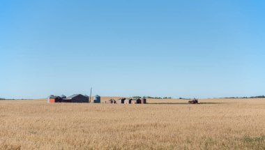 Yaz sonlarında Kanada 'nın Saskatchewan ovalarında yulaf tarlasının ortasında terk edilmiş bir traktör..