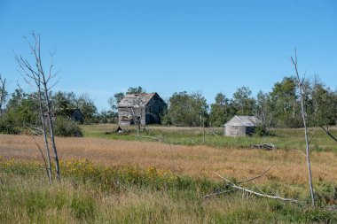 Terk edilmiş eski çiftlik evi. Yıpranmış ve bakımsız..