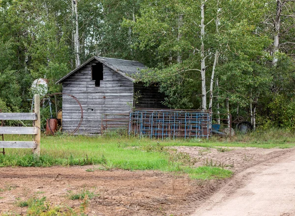 Clădire Abandonată Vreme Amplasată Copaci Fermă Din Preeriile Satului Saskatchewan — Fotografie, imagine de stoc