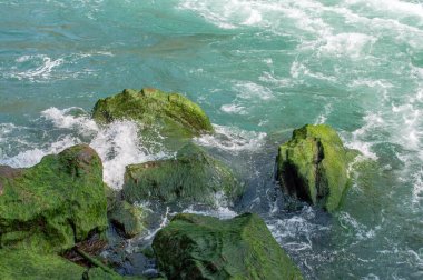 Niagara Nehri 'ndeki dalgalar kıyı şeridindeki yosun kaplı kayalar boyunca çarpar..