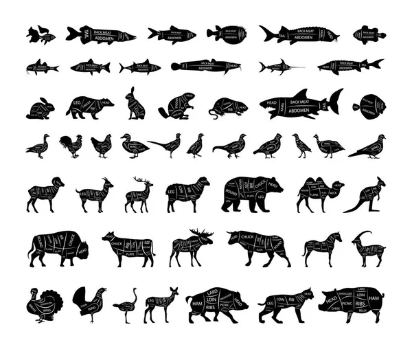 Векторна Колекція Риб Тварин Птахів Ріжучими Лініями — стоковий вектор