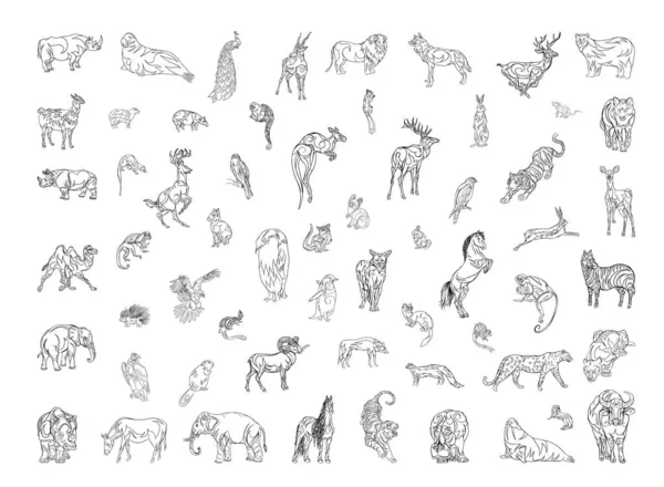 Vector Set Animals Linear Style Illustrations Creating Coloring Pages Prints — Stock Vector