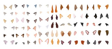 Köpek ve kedi kulağı koleksiyonu. Web uygulamaları ve maskeli balo için elementler.