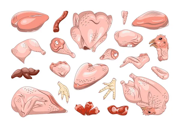 Raccolta Parti Pollo Uno Stile Realistico Pollo Tagliato Negozi Ristoranti — Vettoriale Stock