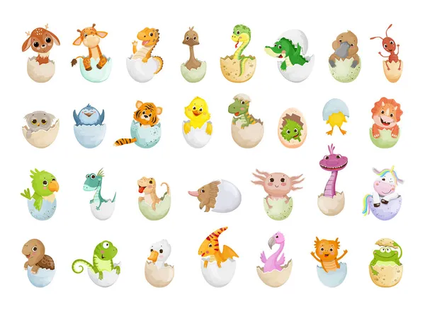 Coleta Vetorial Animais Casca Ovo Ilustrações Coloridas Para Crianças — Vetor de Stock