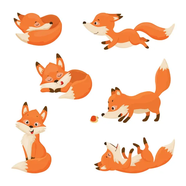 Collection Cartoon Illustrations Fox Performing Different Actions Colorful Cute Character — Stock Vector