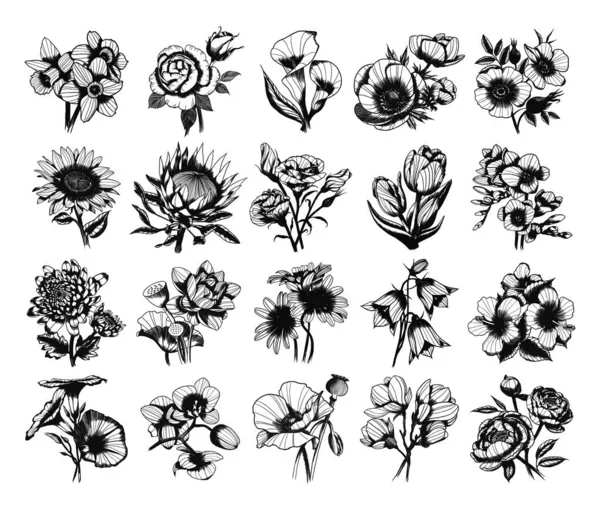 Kolekcja Monochromatycznych Ilustracji Pąków Kwiatowych Stylu Szkicowym Ręczne Rysunki Stylu — Wektor stockowy