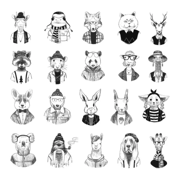 以素描风格收集有趣动物的单色插图 手绘艺术风格 黑白图形 — 图库矢量图片