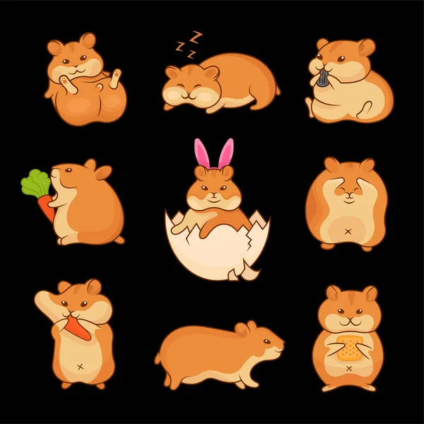 Altın Hamsterların Vektör Çizimleri Çıkartmalar Baskılar Için Evcil Hayvan Koleksiyonu — Stok Vektör