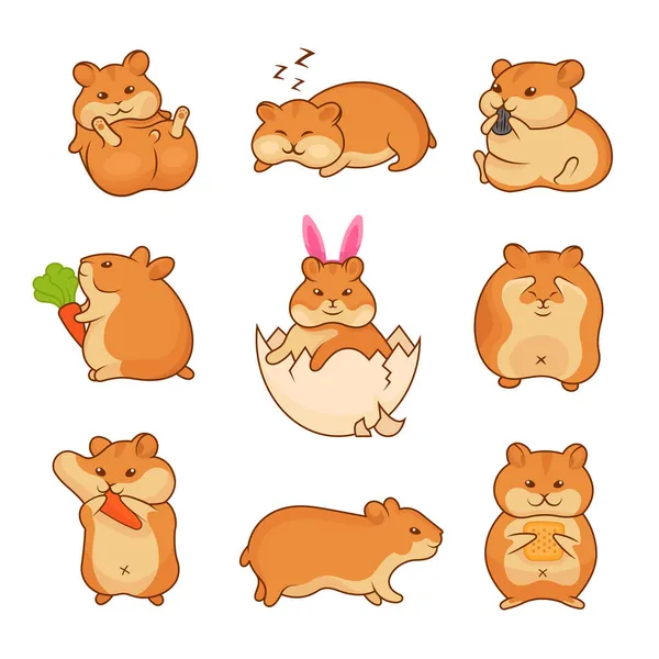 Set Vector Illustrations Golden Hamsters Collection Pets Stickers Prints Cute — Stock Vector