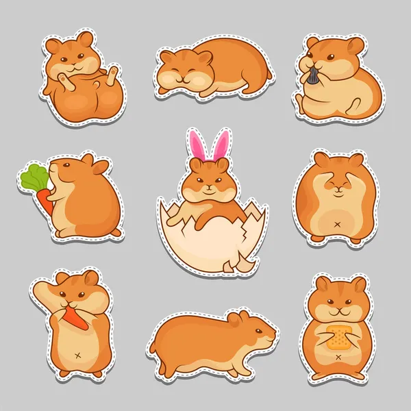 Set Vector Illustrations Golden Hamsters Collection Pets Stickers Prints Cute — Stock Vector