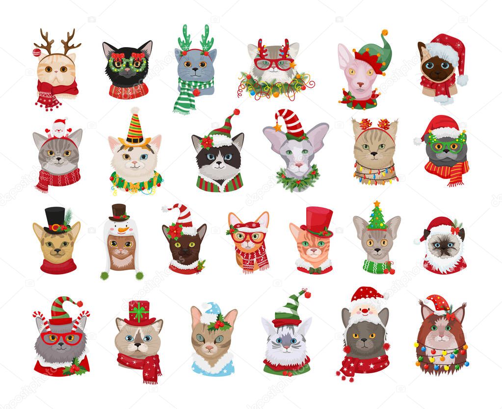 Collection of purebred cats in New Year's costumes. Avatars of Christmas cats.