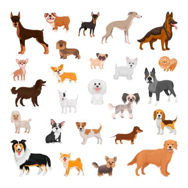 Beyaz arka planda izole edilmiş farklı türde köpek koleksiyonu.