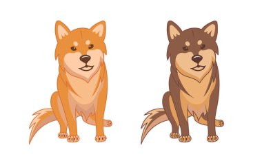 Shiba inu ve Akita inu köpekleri.