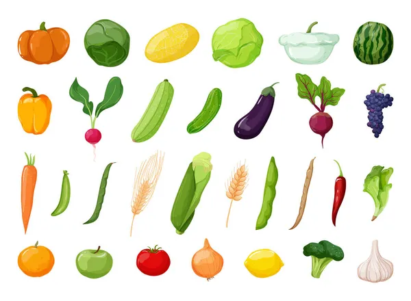 Vecteur Détaillé Légumes Fruits Illustrations Alimentaires Dans Style Moderne — Image vectorielle