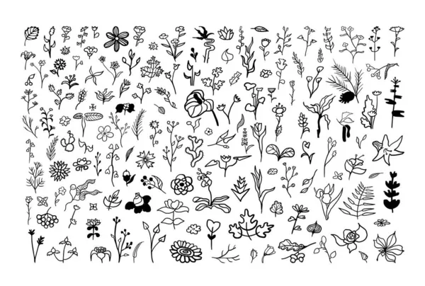 Sada Květinových Čmáranic Ikony Pro Vytváření Vzorů Tapety Obaly Tetování — Stockový vektor