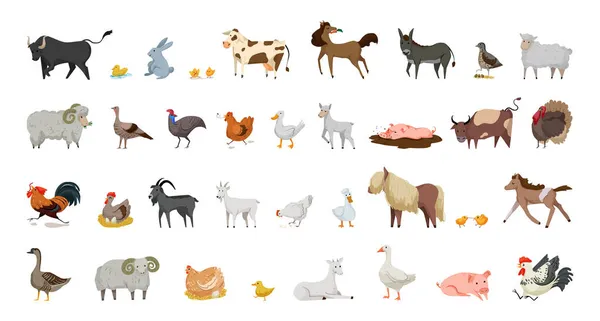 Çiftlik Hayvanları Kuş Koleksiyonu Düz Biçimli Çizimler — Stok Vektör