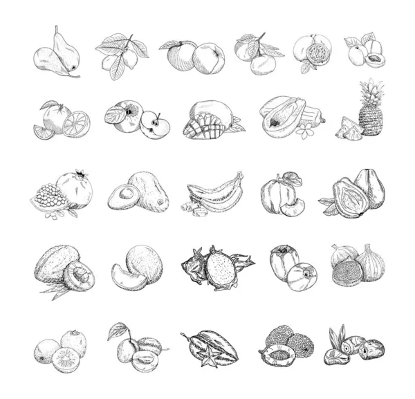 Set Monochrome Vector Illustrations Fruits Sketch Style Collection Hand Drawings — Stock Vector