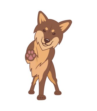 Shiba Inu köpek beyaz zemin üzerine.