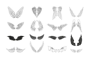 Fantastik ve gerçek yaratıkların vektör kanatları. Siyah beyaz grafikler. Renkli sayfalar, dövmeler, çıkartmalar, kartlar yaratmak için nesneler.