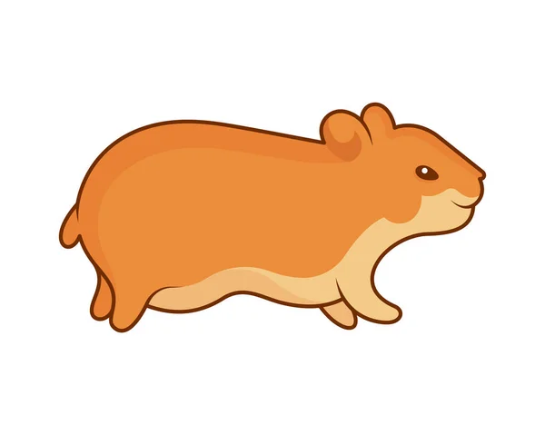 Vector Illustration Golden Hamster Pet Stickers Prints White Background Cute — Stock Vector