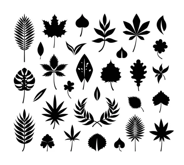 Farklı bitkilerin vektör yapraklarının toplanması. Beyaz arkaplanda siyah nesneler izole edildi