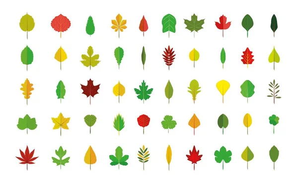 Grand Ensemble Feuilles Automne Dans Style Plat Objets Vectoriels Isolés — Image vectorielle