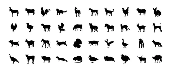 Huisdieren Vector Silhouetten Geïsoleerd Witte Achtergrond Boerderijdieren Pictogrammen Pluimvee Runderen — Stockvector