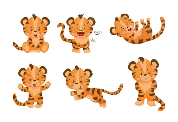 Συλλογή Εικονογραφήσεων Κινουμένων Σχεδίων Τίγρεις Που Εκτελούν Διαφορετικές Δράσεις Πολύχρωμο — Διανυσματικό Αρχείο