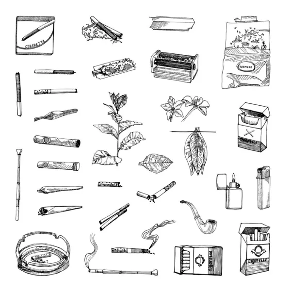 Sammlung Monochromer Tabakillustrationen Skizzenstil Handzeichnungen Tuschestil Schwarz Weiß Grafiken — Stockvektor