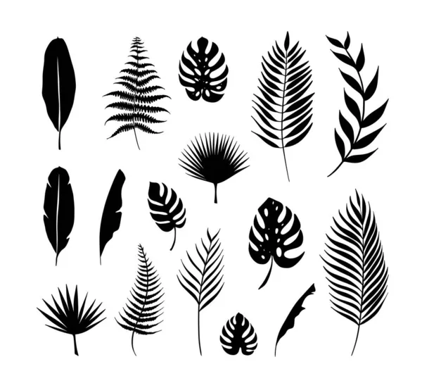 Set Leaves Tropical Plants Black Objects Decoration Isolated White Background — Stock Vector