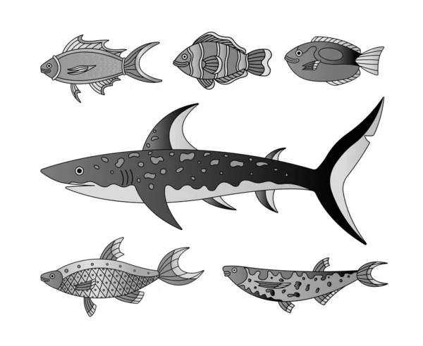 Deniz Balıklarının Temsili Vektör Koleksiyonu Dış Hatları Siyah Beyaz Olan — Stok Vektör