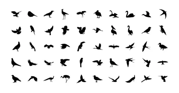 Ένα Σύνολο Διανυσματικών Προτύπων Για Άγρια Πτηνά Μαύρα Εικονίδια Που — Διανυσματικό Αρχείο