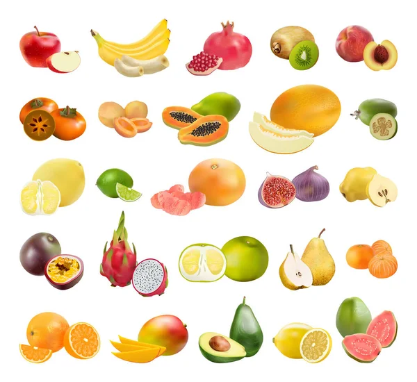 Collecte Fruits Réalistes Illustrations Détaillées — Image vectorielle