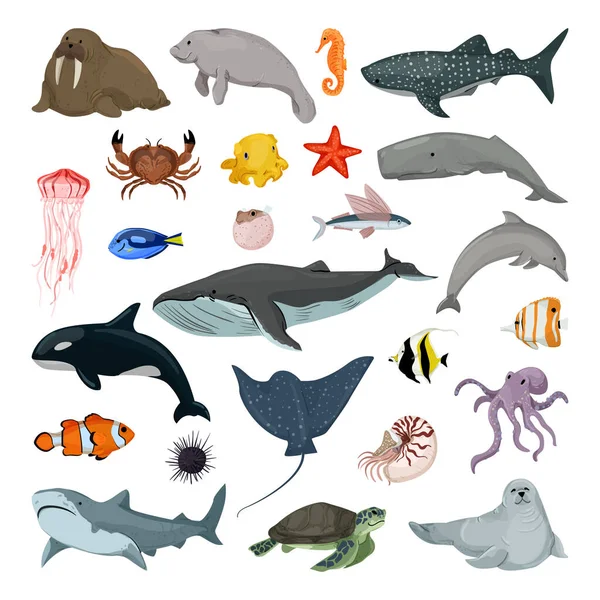 Colección Vida Marina Animales Que Viven Mar Océano Ilustraciones Planas — Vector de stock