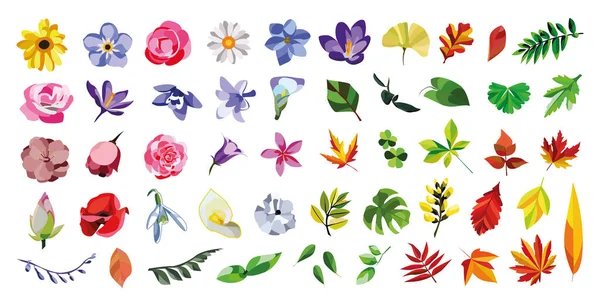 Колекція Барвистих Квітів Листя Білому Тлі — стоковий вектор