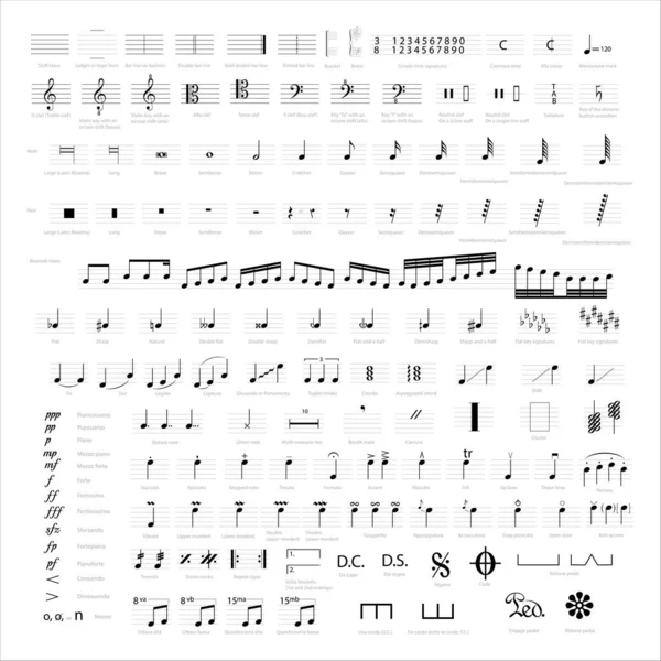 Sammlung Von Musikalischen Symbolen Und Noten Notenschrift — Stockvektor