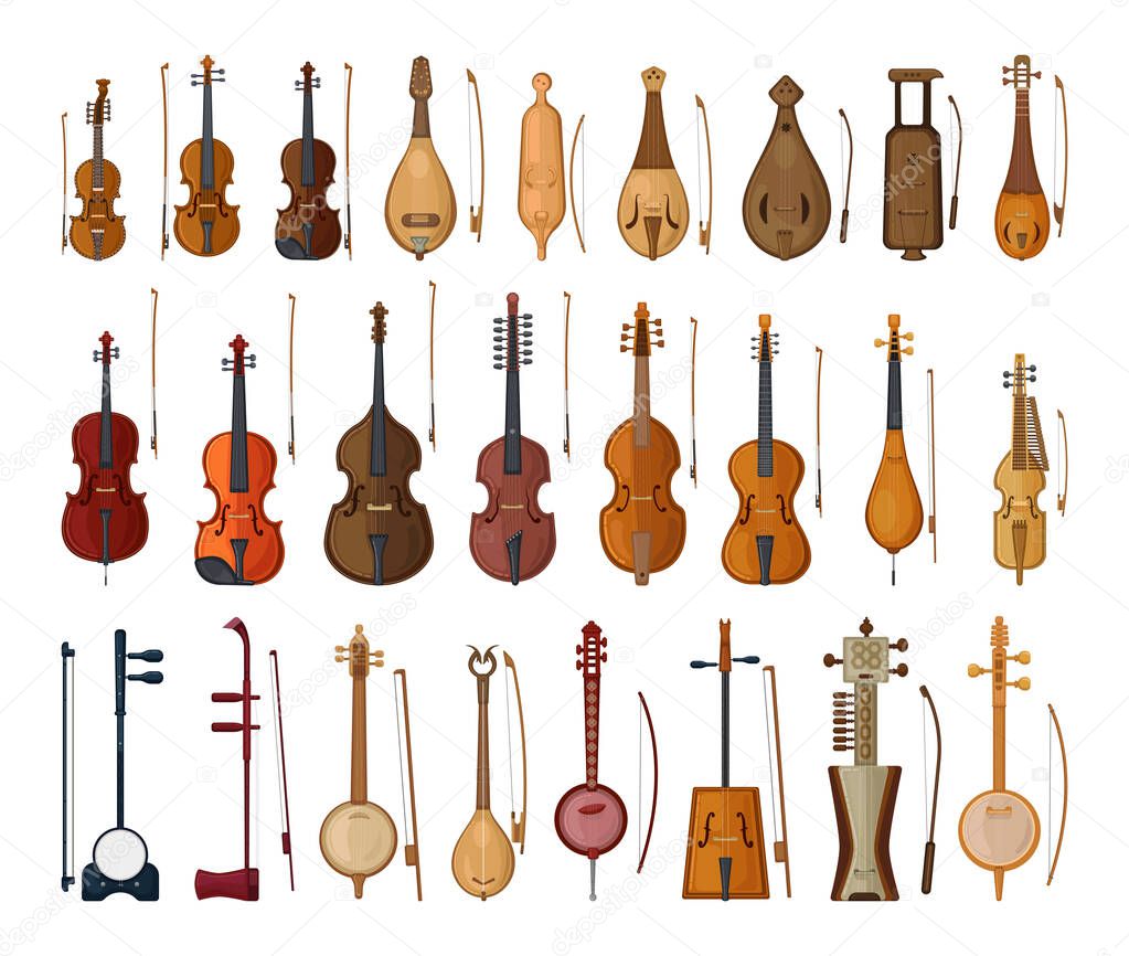 Collection of bowed string instruments in detailed style. Musical instruments.