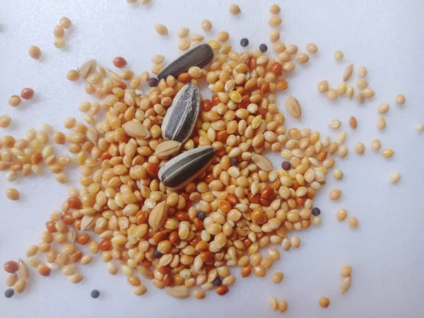 grains for nutritious bird food