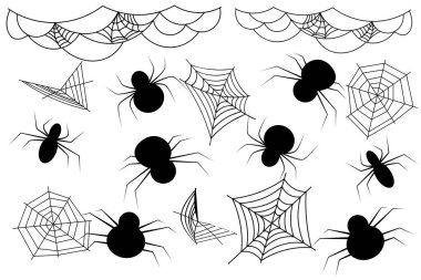    Ağı olan siyah beyaz örümcekler.