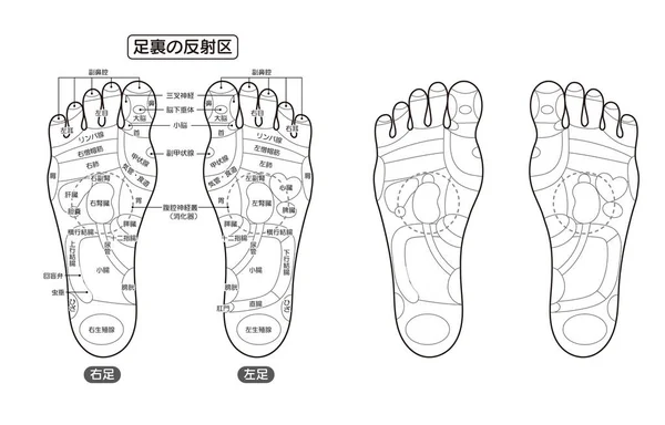 Monochrome Illustration Reflex Zone Acupuncture Points Sole Foot — Stock Vector