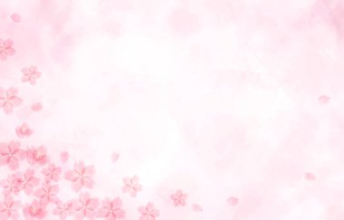 arka plan illüstrasyon kiraz çiçeği